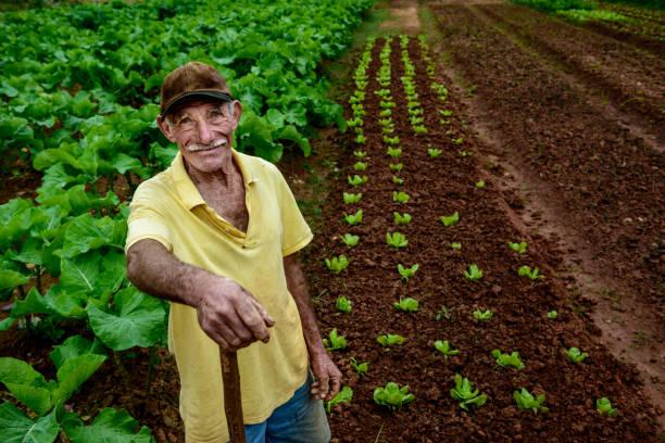 Agricultura Brasileira: Diversidade, Desafios E Sustentabilidade – AgroCR